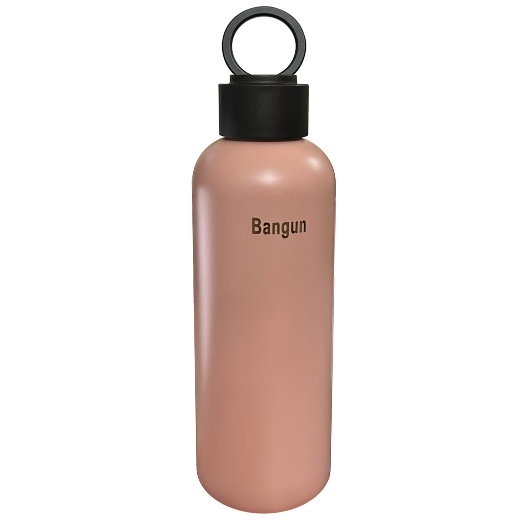Bangun Stainless Steel Water Bottle, 550ml